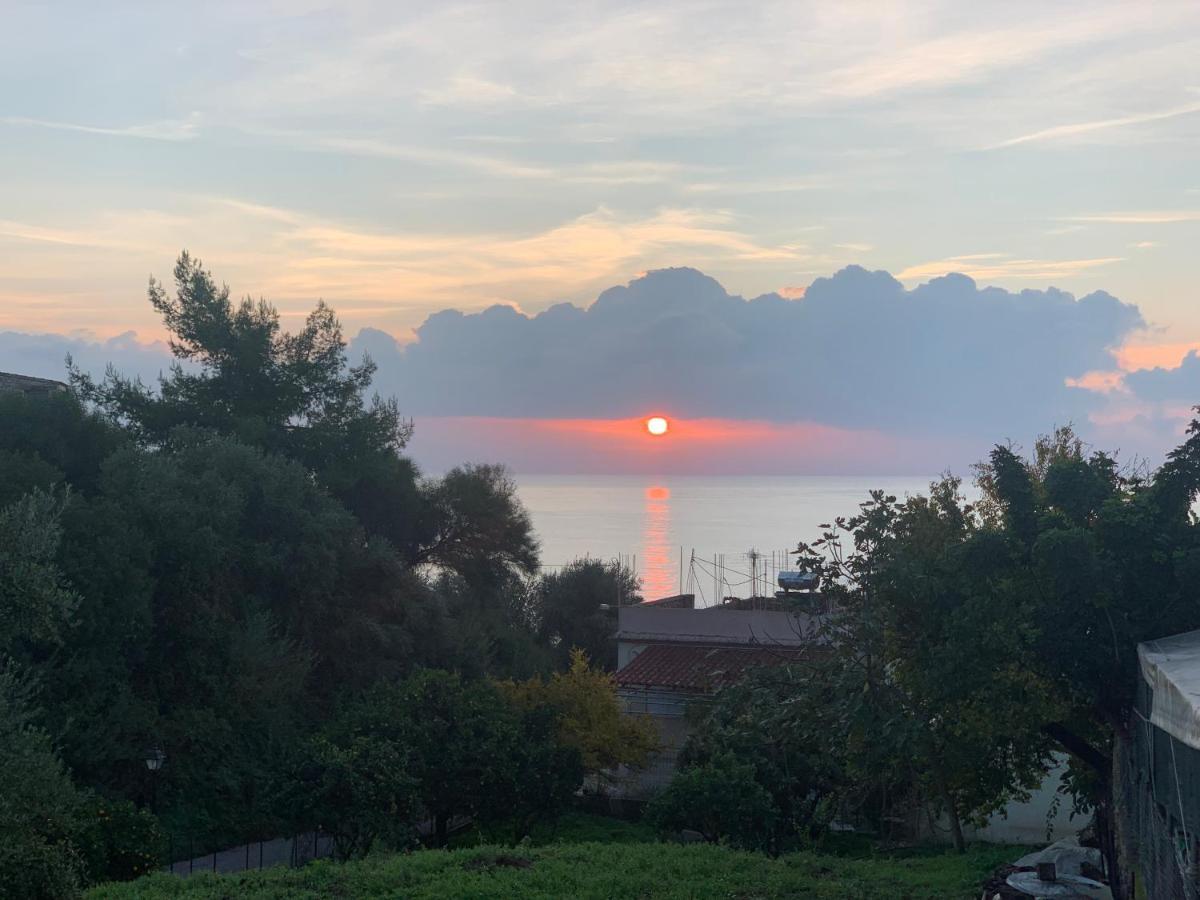 Villa Delfini Chrani Bagian luar foto