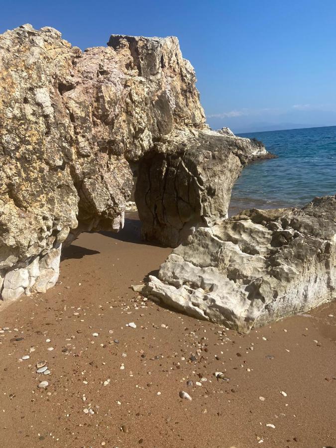 Villa Delfini Chrani Bagian luar foto
