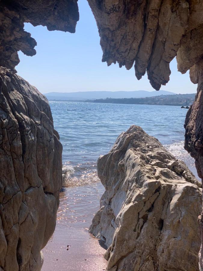 Villa Delfini Chrani Bagian luar foto