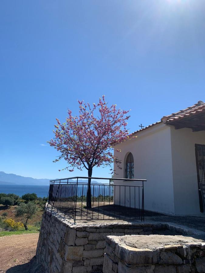 Villa Delfini Chrani Bagian luar foto