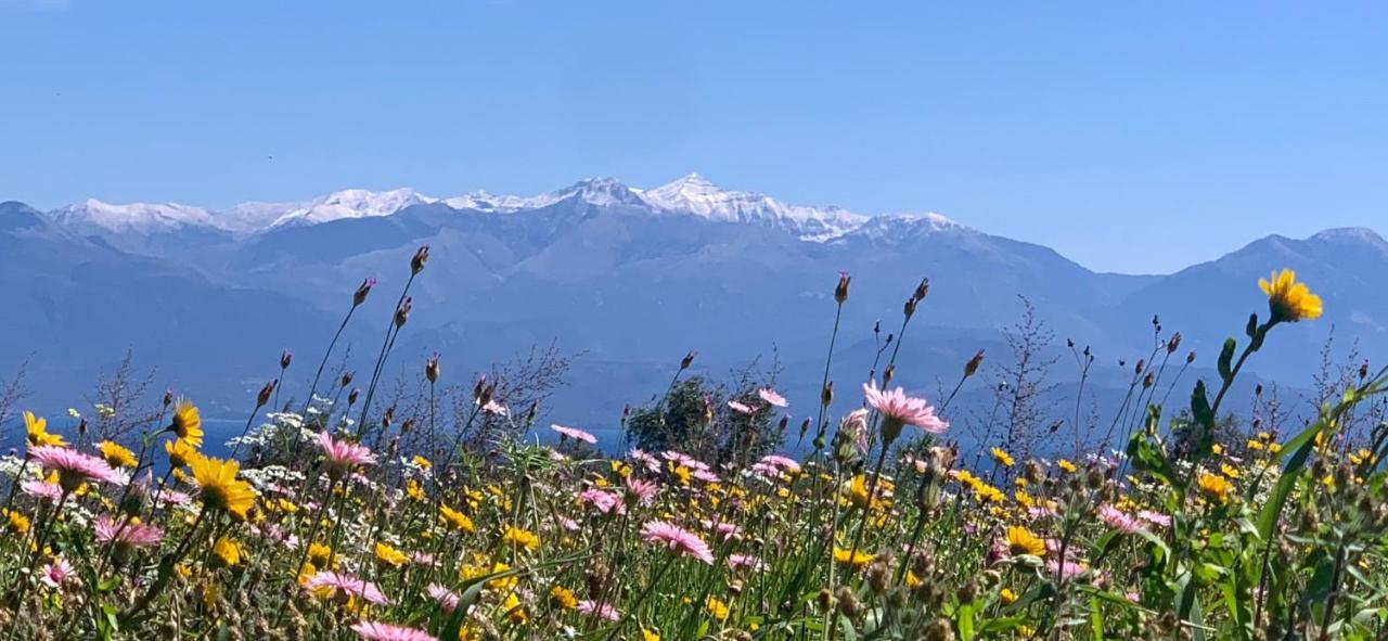 Villa Delfini Chrani Bagian luar foto