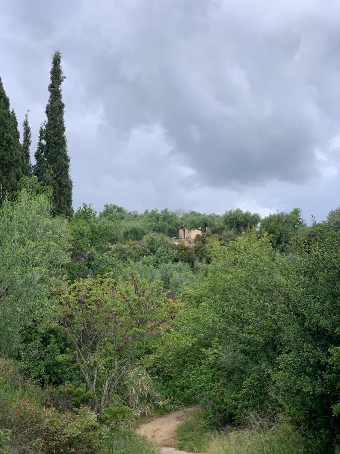 Villa Delfini Chrani Bagian luar foto