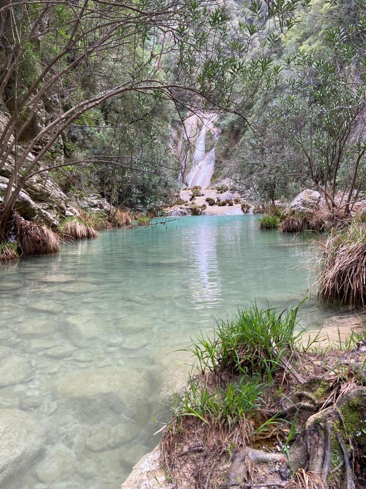 Villa Delfini Chrani Bagian luar foto